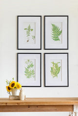 Wall Art - BOTANICAL 1 (Set of 4)