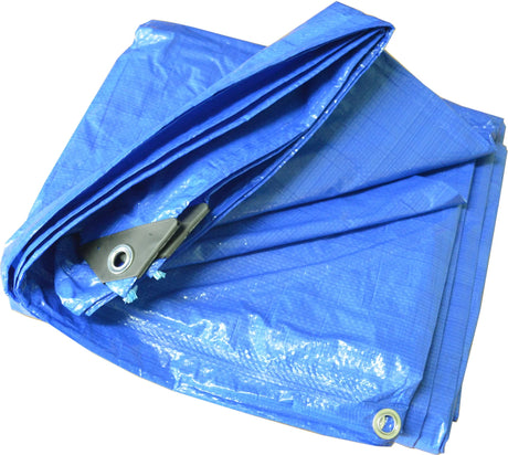 Durable blue polyethylene tarpaulin, 4.8 x 6 meters, waterproof and tear-resistant for outdoor protection.