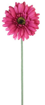 Gerbera - Dark Pink
