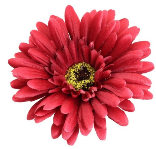 Gerbera - Red