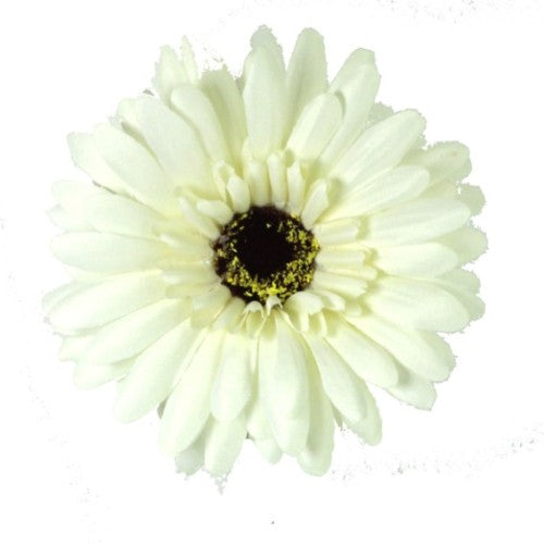 Elegant 57cm White Gerbera silk flower, perfect for weddings, home decor, or as a lasting gift, showcasing timeless beauty.