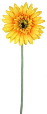 Gerbera - Yellow