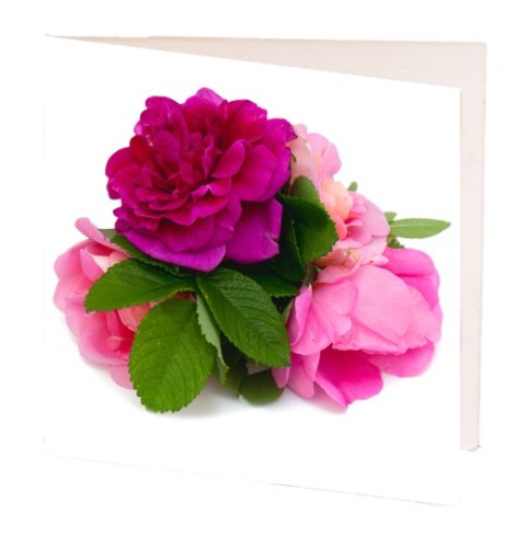 Pack of 10 elegant gift cards featuring pink and white camellia flowers, perfect for any heartfelt message.
