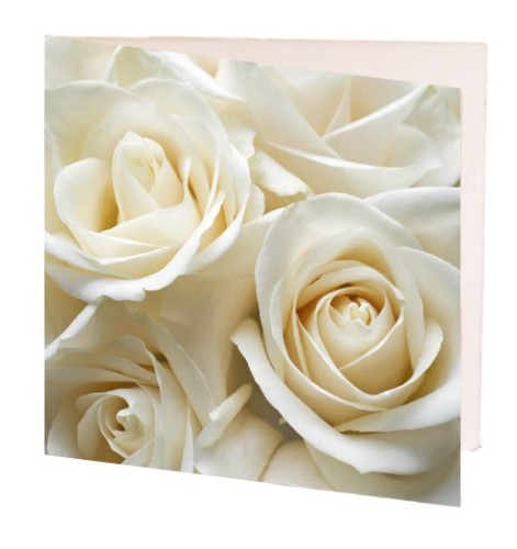 Pack of 10 Celebration gift cards featuring elegant designs for birthdays and special occasions, perfect for personalized gifting.