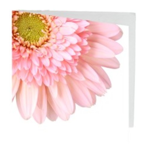 Gift Card - Pink Gerbera - Pack of 10
