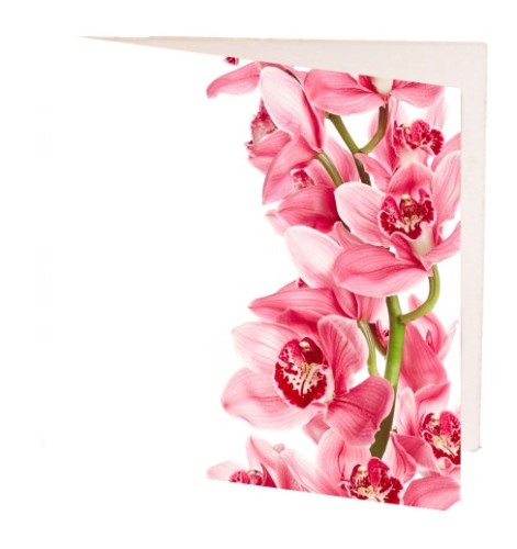 Pack of 10 elegant pink orchid gift cards, each 7cm x 7cm, perfect for any occasion and crafted on high-quality cardstock.