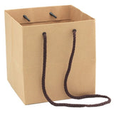 Set of 10 small eco-friendly kraft paper bags in brown, perfect for gifts or retail packaging, measuring 17H x 16W x 16D cm.