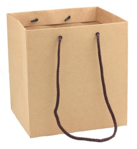 Medium brown Kraft paper bags, eco-friendly and sturdy, perfect for retail, gifts, or groceries - set of 10 units.
