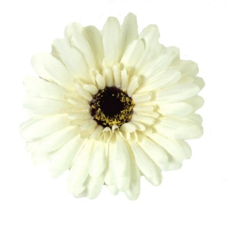 Set of 6 cream artificial Gerbera stems, 55cm tall, perfect for home decor and lasting arrangements.