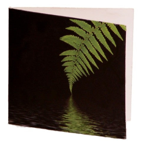 Set of 10 fern-themed gift cards, 7cm x 7cm, eco-friendly, ideal for any gifting occasion.