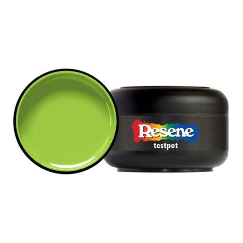 Testpot 60ml Dizzy Lizzy - Resene