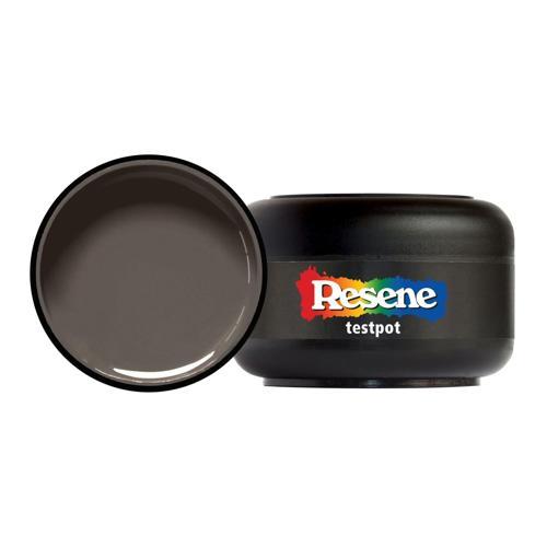 Testpot 60ml Double Mondo - Resene