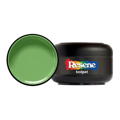Testpot 60ml Groovy - Resene