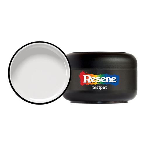 Testpot 60ml Half Concrete - Resene
