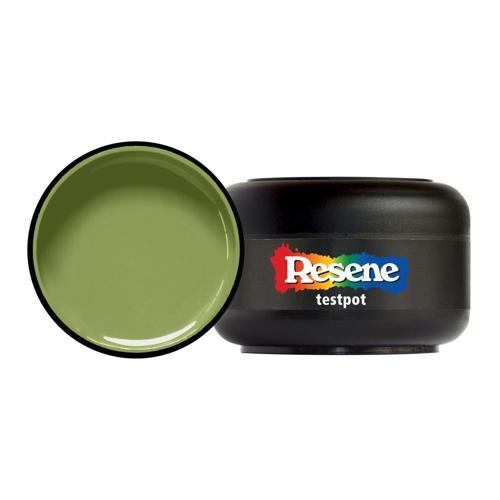 Testpot 60ml Koru - Resene