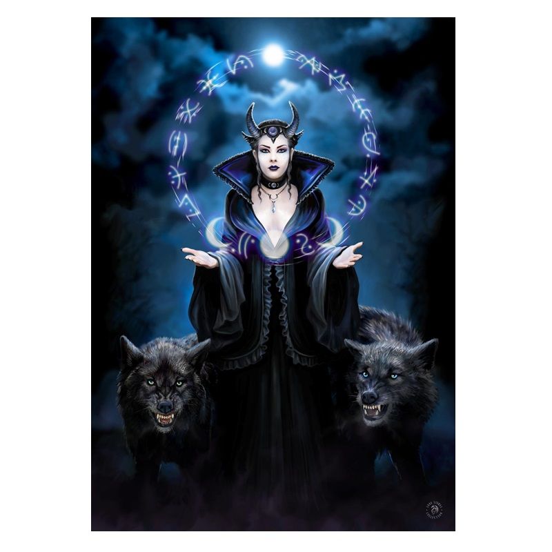 Large Moon Witch Canvas Plaque by Anne Stokes