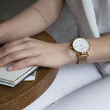 Watch - WENGER Metro Donnissima 38mm White/Gold Dial Mesh Strap