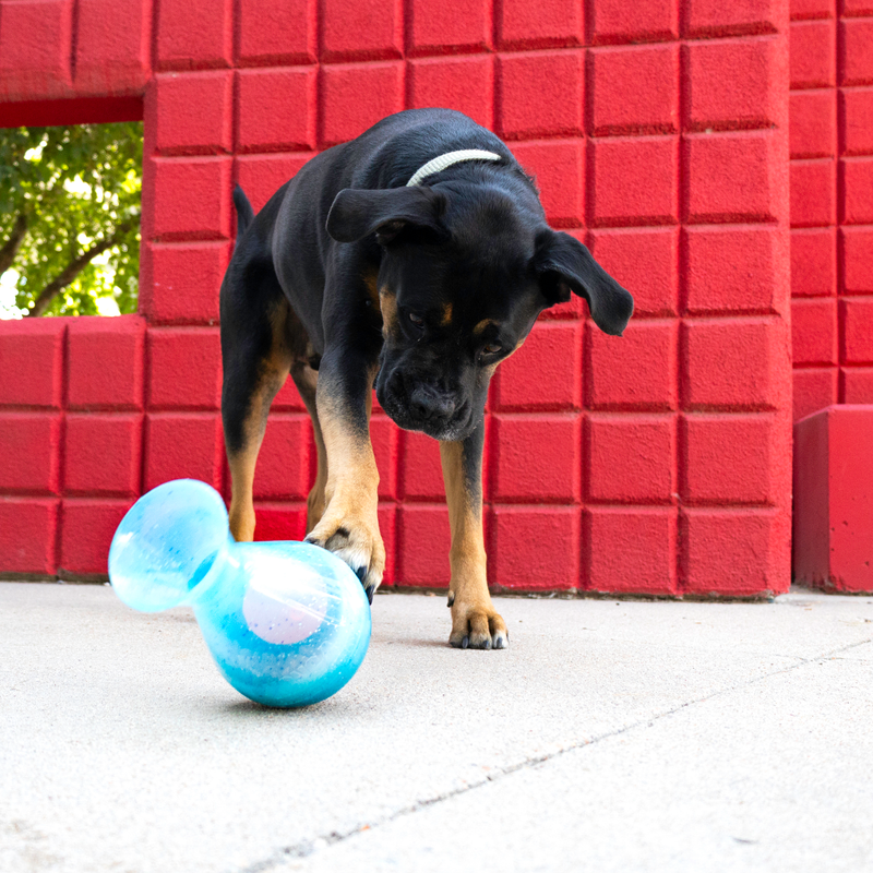 Dog Treat - KONG Rewards Tipsy (Large)