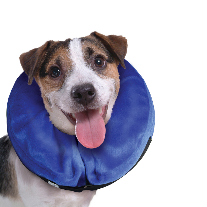 Dog Toy - KONG Cloud Collar (Medium)