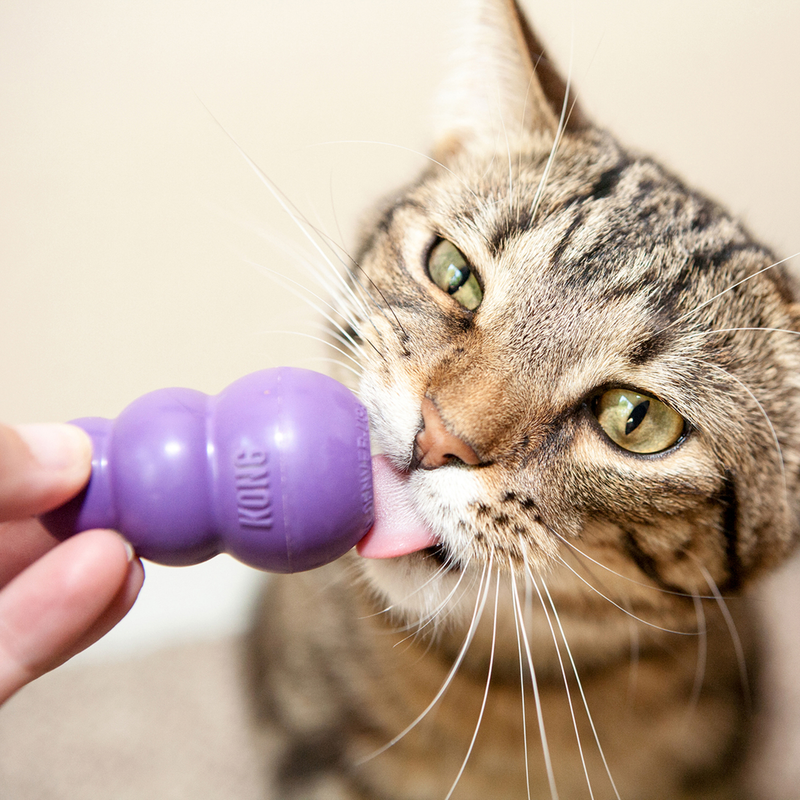 Cat Toy - Kitty KONG