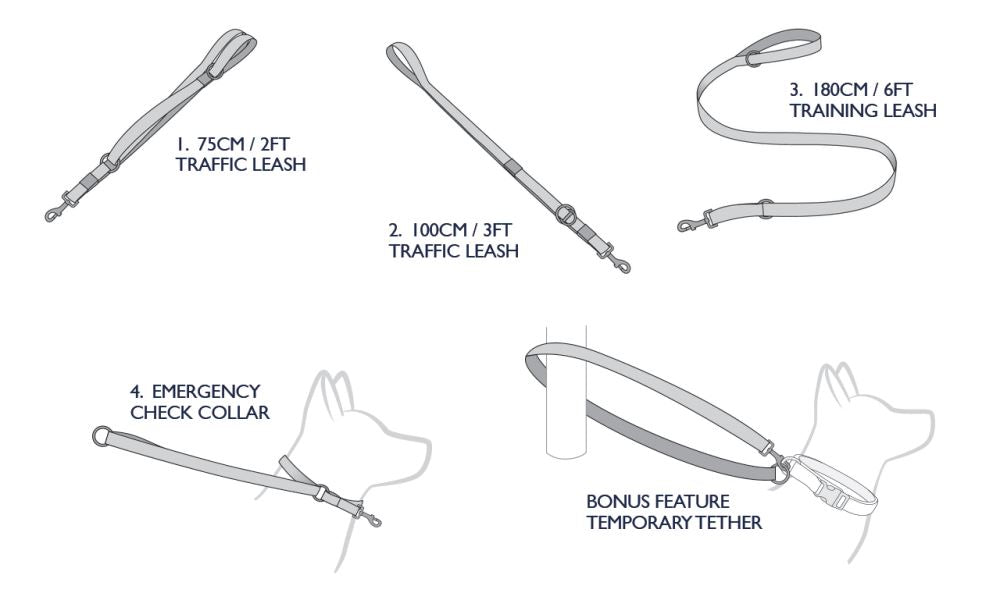 Dog Lead - Ezy Dog Vario Leash Standard - Black