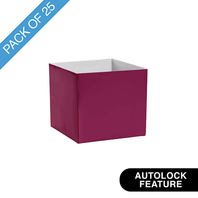 Mini Posy Box Gloss Autolock Base Pk25 Sugar Plum