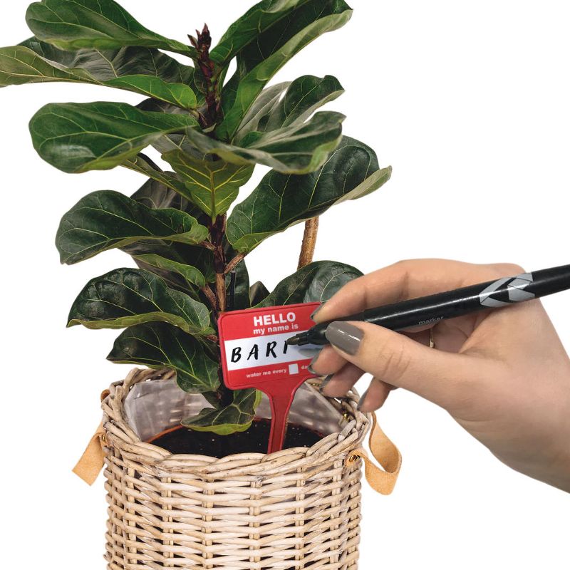 Plant Name Badges - Bubblegum