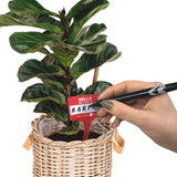 Plant Name Badges - Bubblegum