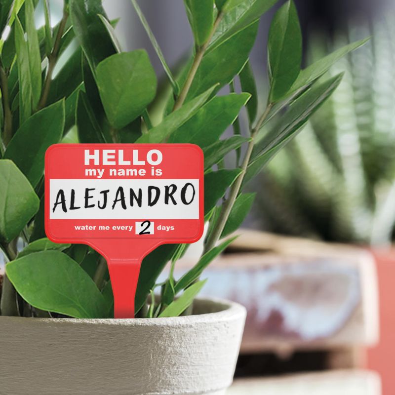 Plant Name Badges - Bubblegum