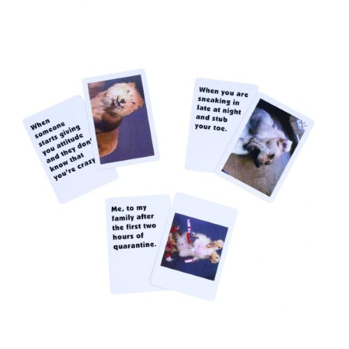 Memes Card Game - What the F*ck?