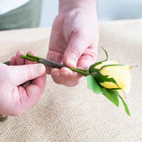 ECO Paper Parafilm Floral Tape Pack 2 Brown