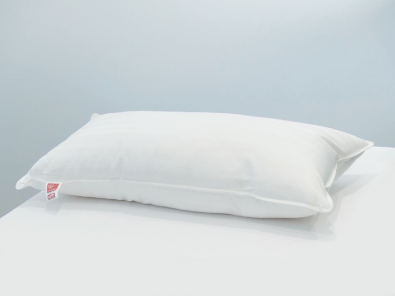 Dream Lodge Pillow - Dreamticket Super King (1100g)