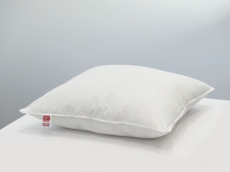 Euro Pillow - Dreamticket (65cm)