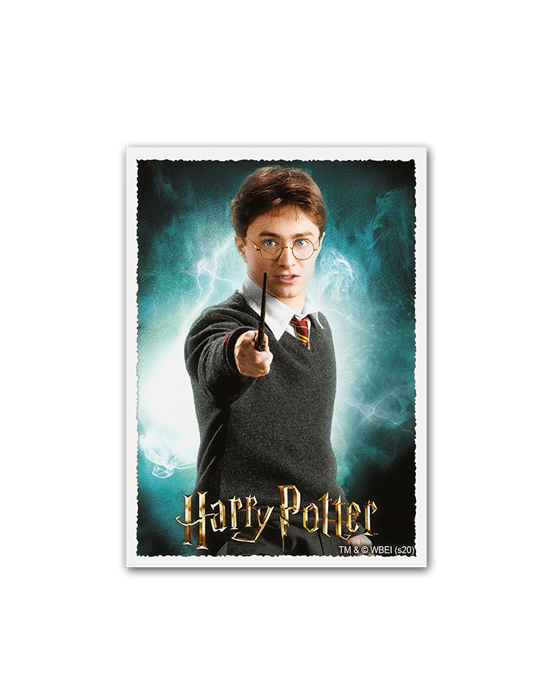 Dragon Shield: Sleeves  - Matte Art  - WizardingWorld: Harry Potter