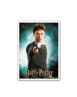 Dragon Shield: Sleeves  - Matte Art  - WizardingWorld: Harry Potter