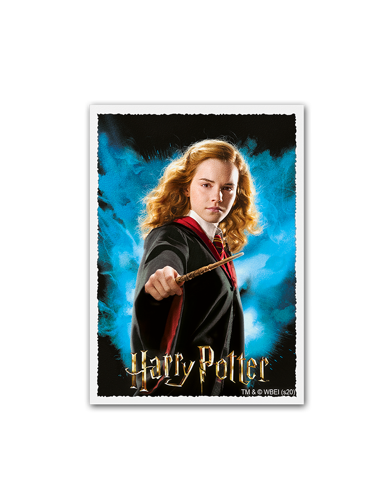 Dragon Shield: Sleeves  - Matte Art  - WizardingWorld: Hermoine Granger