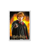 Dragon Shield: Sleeves  - Matte Art  - WizardingWorld: Ron Weasley