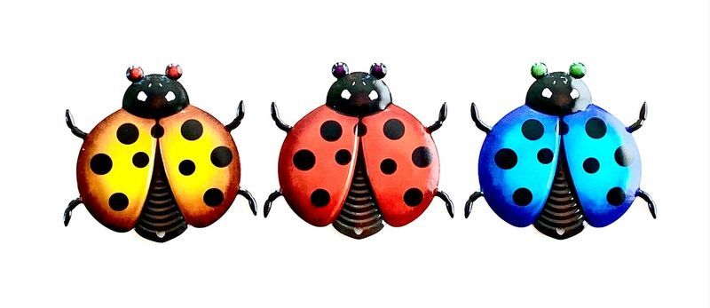 Metal Wall Art - Ladybird 12cm (Set of 12 Assorted)