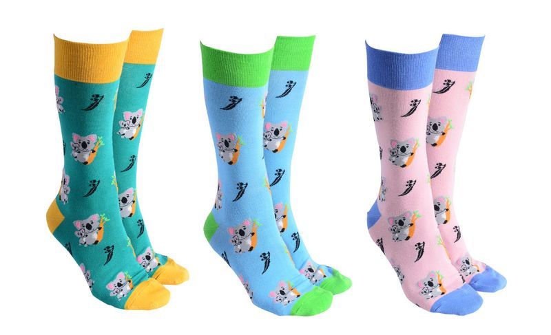 Socks - Sock Society  Koala & Baby (6 Assorted Pairs)