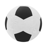 CHICCO GOAL LEAGUE ELECTRONIC ACTIVITY CENTRE