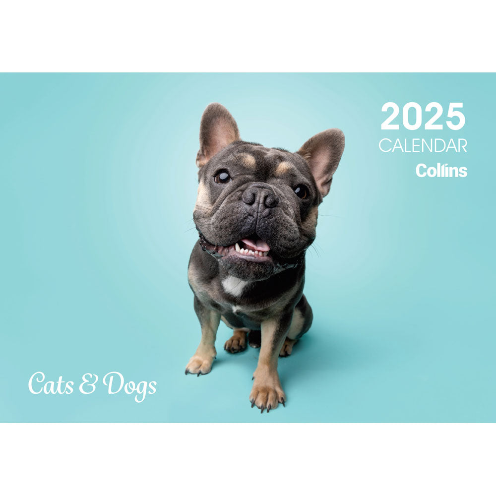 Collins Wall Calendar A4 Cats & Dogs Odd Year
