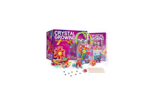 Crystal Growing Terrarium Kit - Heidi Walker