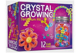 Crystal Growing Terrarium Kit - Heidi Walker