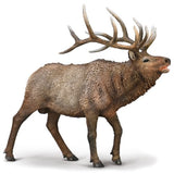 Figurine - CollectA North American Wapiti