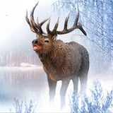 Figurine - CollectA North American Wapiti