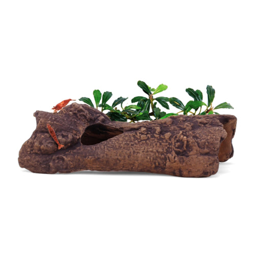 Aquatic Ornament Aquavitro Ceramic Hide L1