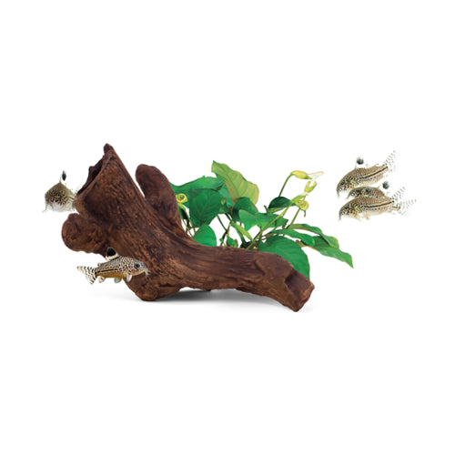 Aquatic Ornament Aquavitro Ceramic Hide B2