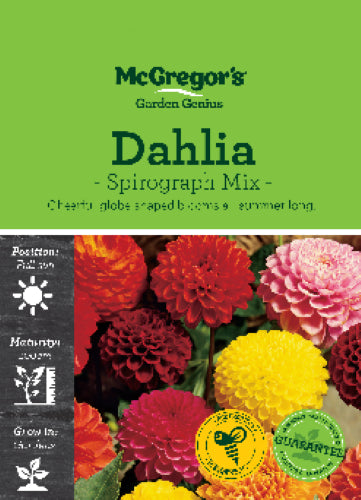 McGregor's Dahlia Spirograph Mix Packet Seeds