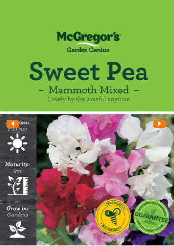 McGregor's Sweet Pea Mammoth Flower Seed Packet