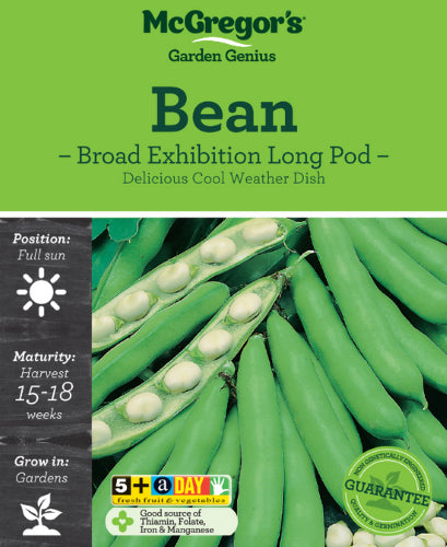 Exhibition Long Pod Vegetable Seed